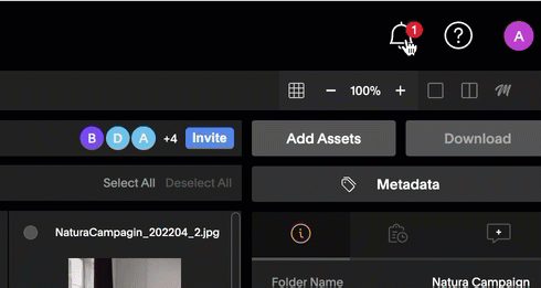 UploadModal_Versions_Complete.gif