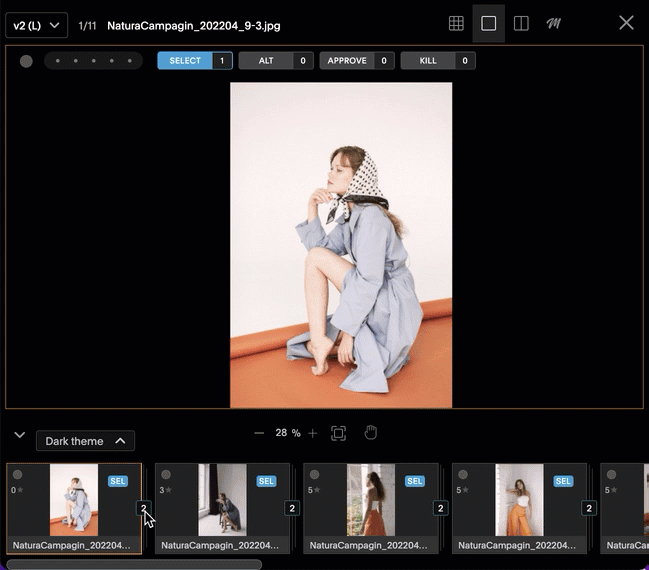 OpenVersions.gif