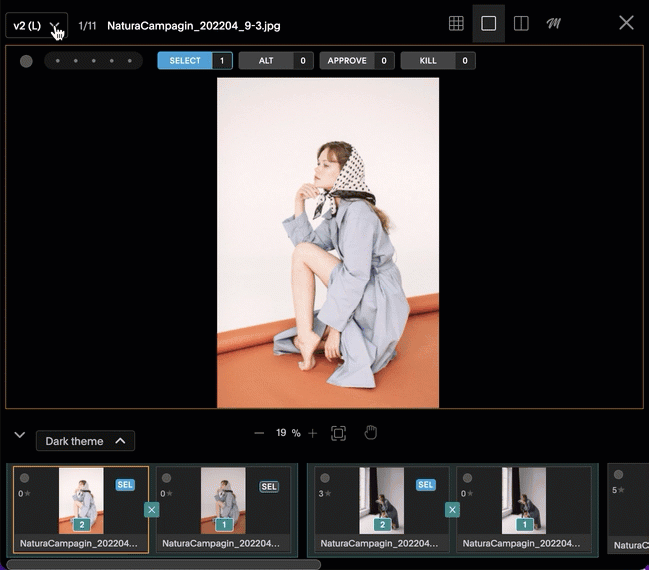 Versions_Compare2up.gif