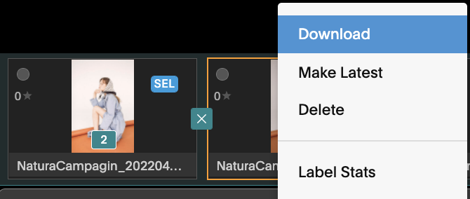 VersionDownload2.png
